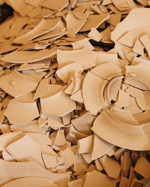 Biscuit Recycling